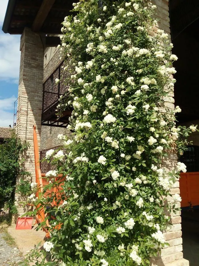 Agriturismo Ca' Preda Villa San Giorgio Piacentino 0*,
