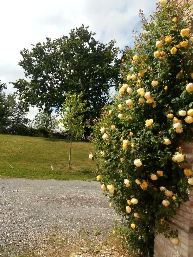 Farm stay Agriturismo Ca' Preda Villa San Giorgio Piacentino